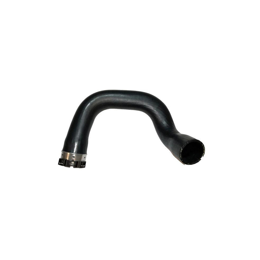 BUGIAD 81753 Charger Intake Hose for Fiat 500L (351, 352)