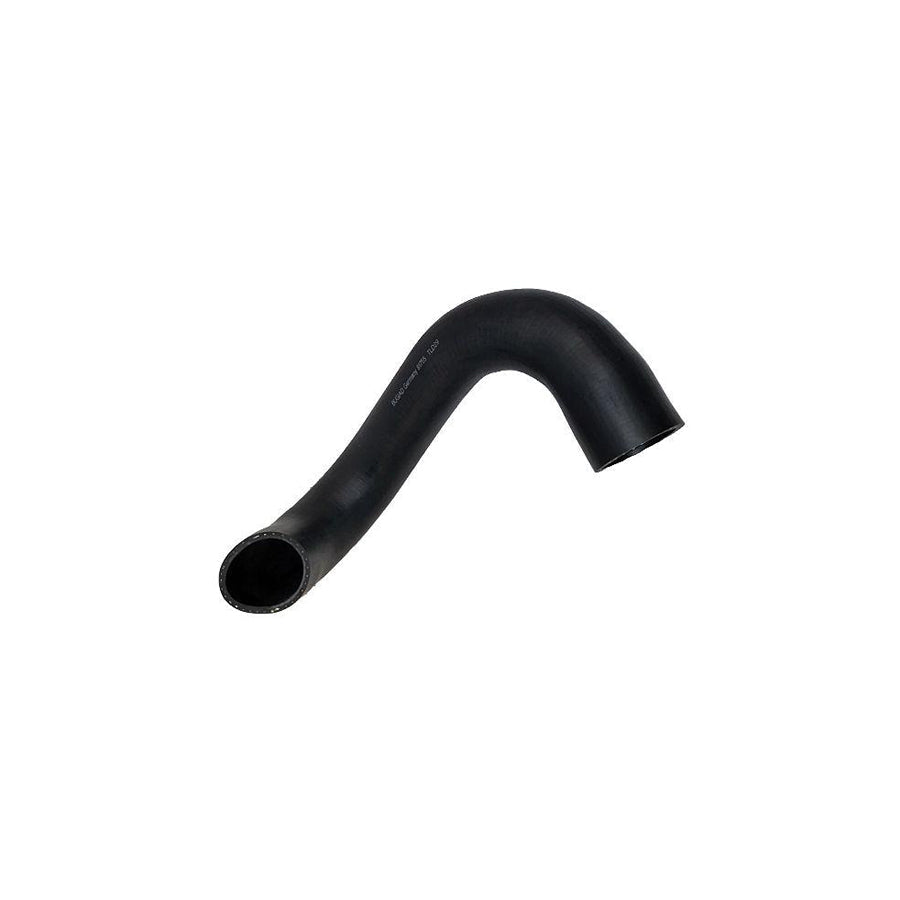 BUGIAD 81755 Charger Intake Hose for Fiat Ducato