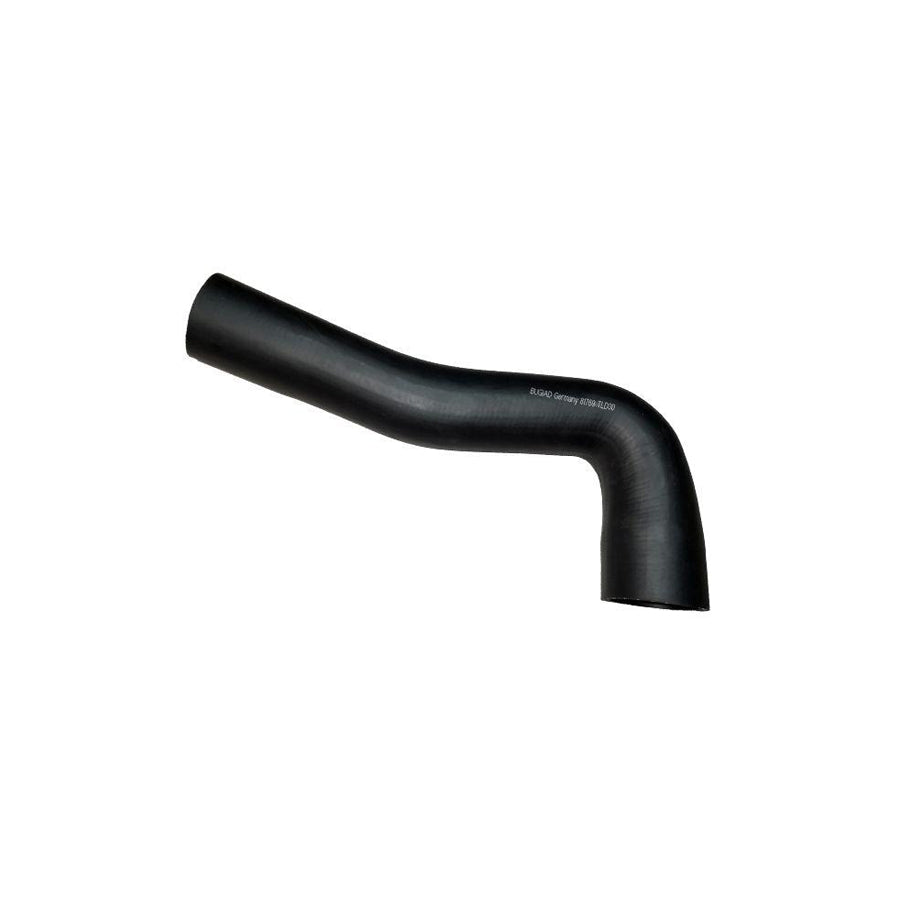 BUGIAD 81769 Charger Intake Hose for Ford Transit