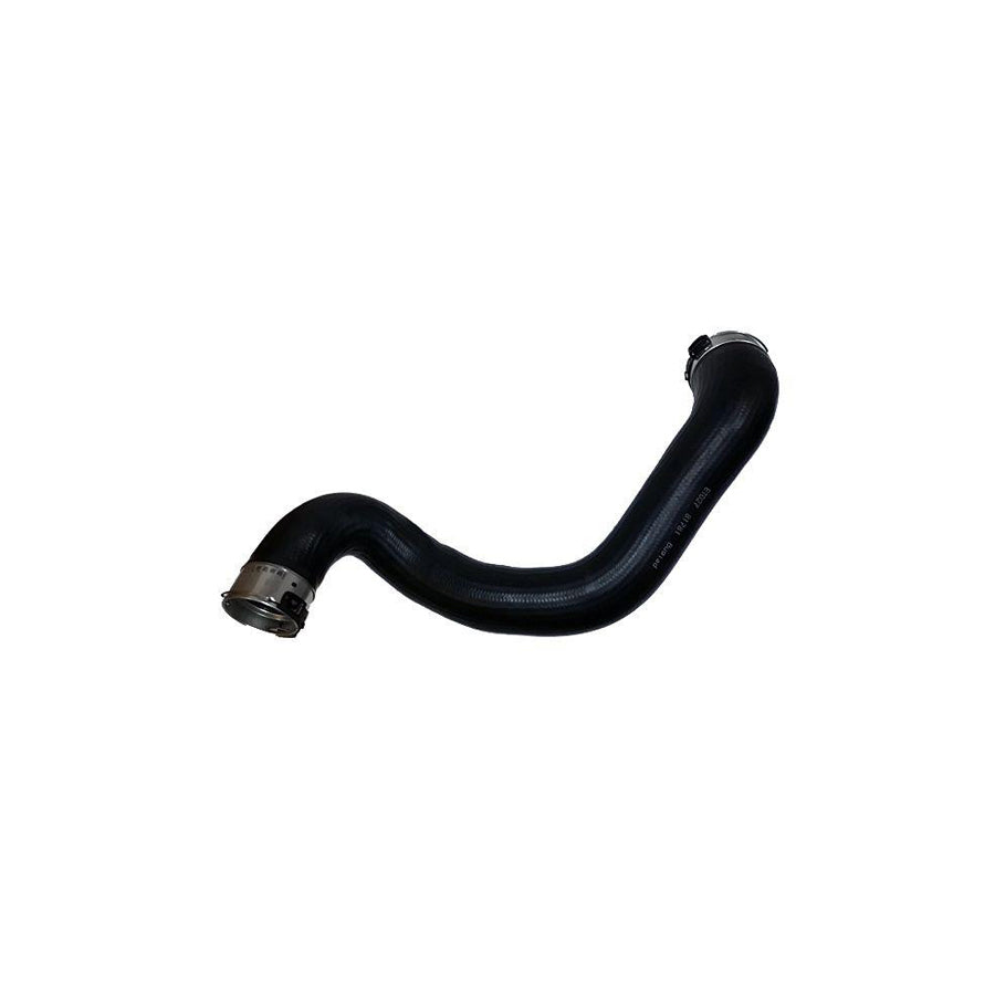 BUGIAD 81781 Charger Intake Hose
