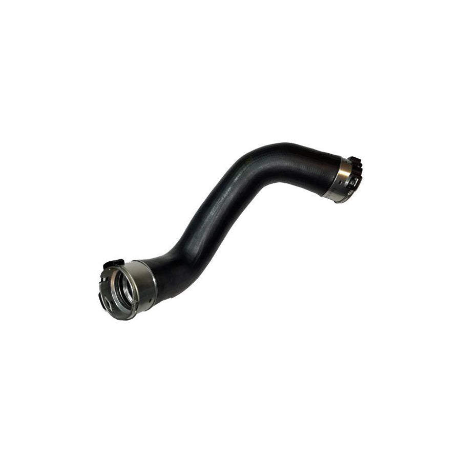 BUGIAD 81788 Charger Intake Hose for Nissan Qashqai II (J11)
