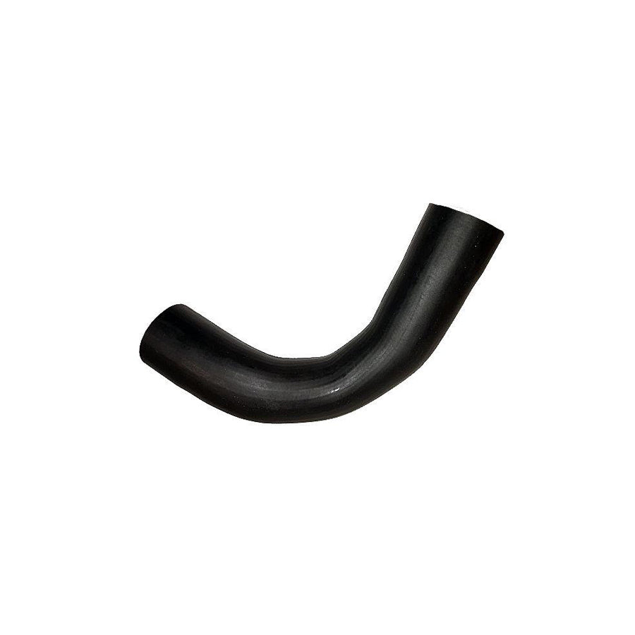 BUGIAD 81790 Charger Intake Hose for Nissan Qashqai / Qashqai 2 I (J10, Nj10)