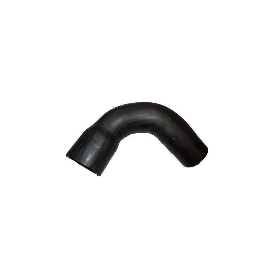 BUGIAD 81817 Charger Intake Hose