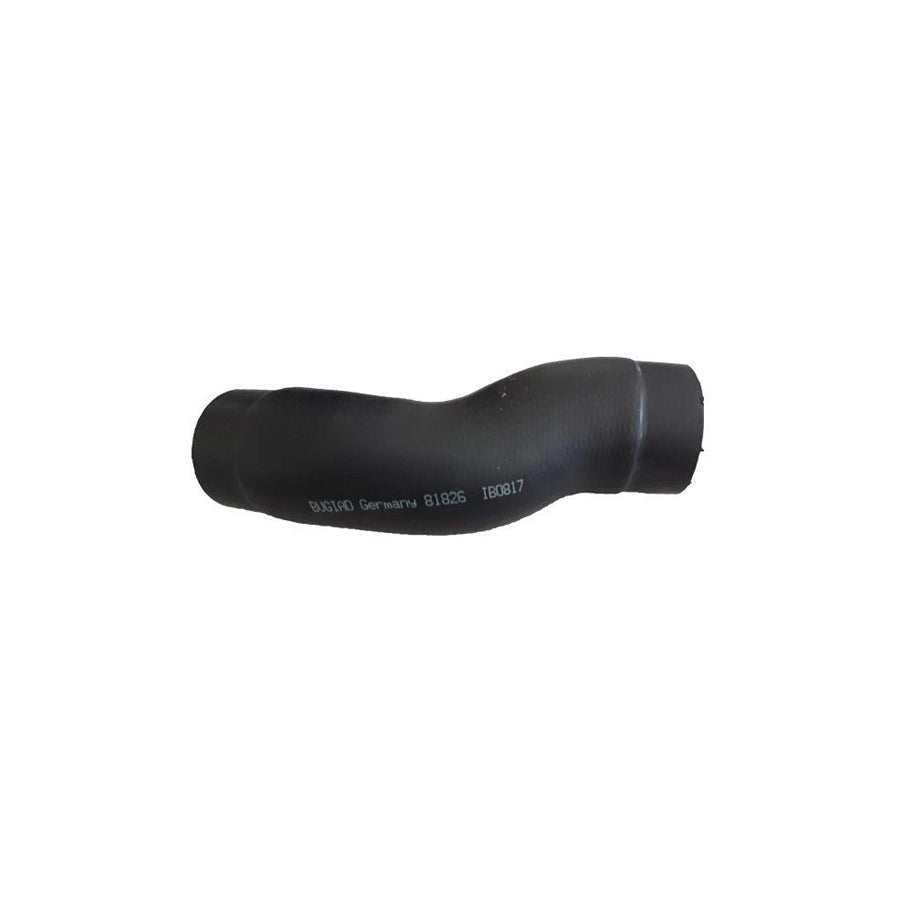 Bugiad 81826 Charger Intake Hose