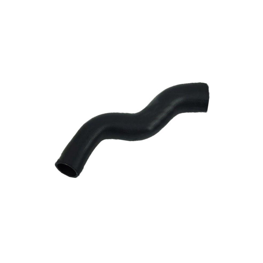 BUGIAD 81831 Charger Intake Hose for Nissan Primera