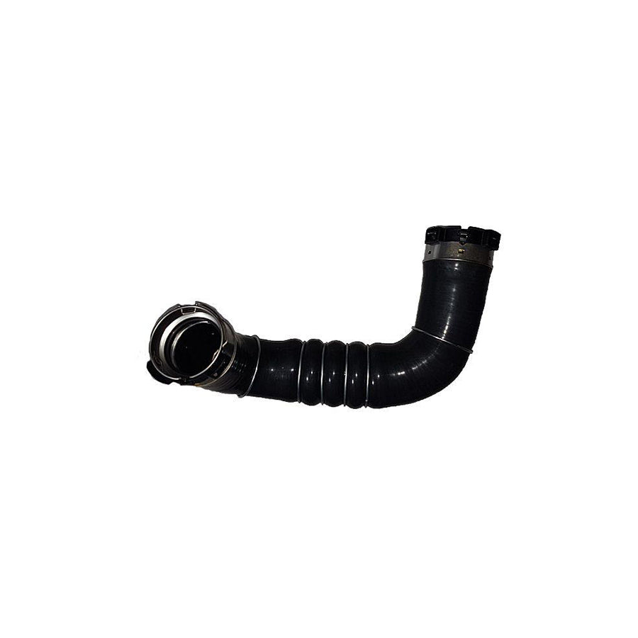 BUGIAD 81832 Charger Intake Hose
