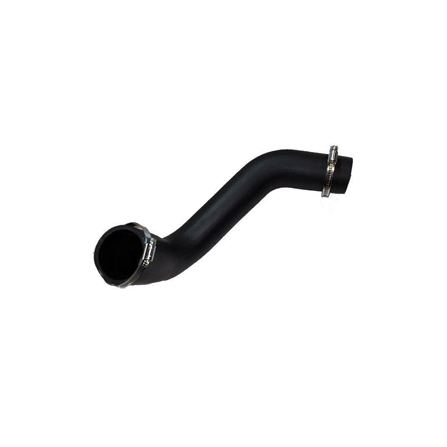 BUGIAD 81842 Charger Intake Hose for Alfa Romeo 159