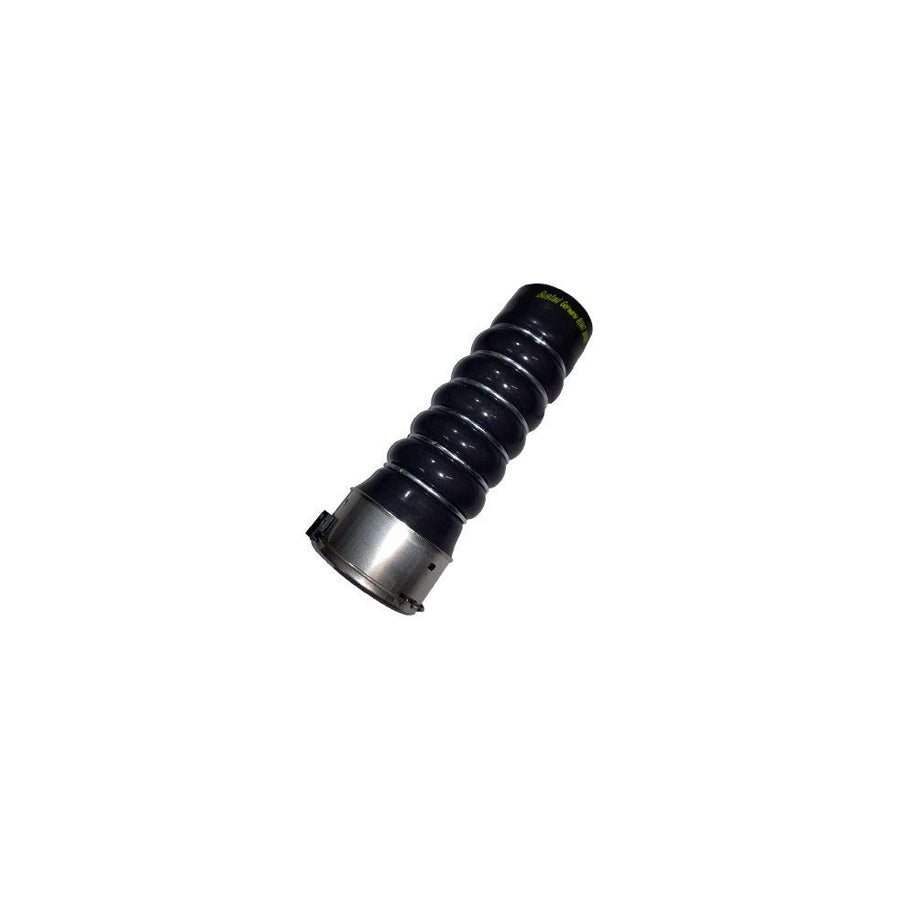 BUGIAD 81847 Charger Intake Hose for Renault Clio III Hatchback (Br0/1, Cr0/1)