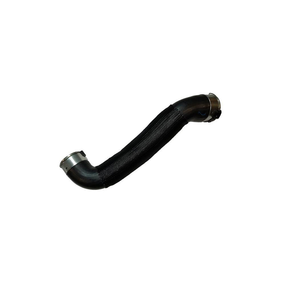 BUGIAD 81848 Charger Intake Hose for Nissan Qashqai II (J11)