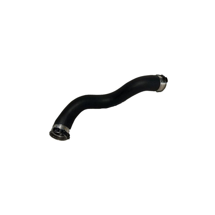 BUGIAD 81851 Charger Intake Hose