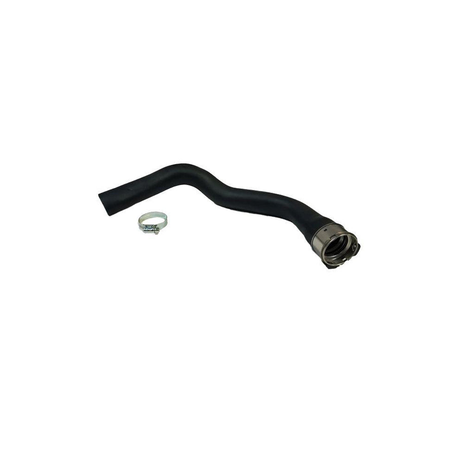 BUGIAD 81852 Charger Intake Hose for Nissan Qashqai / Qashqai 2 I (J10, Nj10)