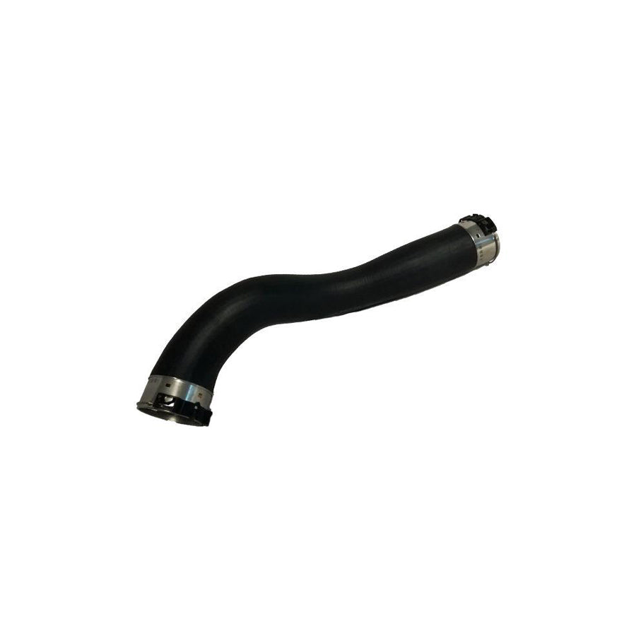 BUGIAD 81854 Charger Intake Hose Suitable for Mercedes-Benz A-Class (W176)