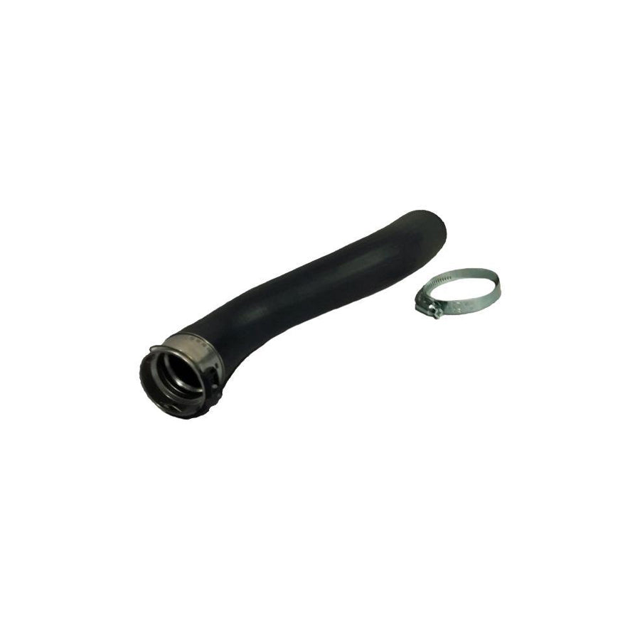 BUGIAD 81861 Charger Intake Hose Suitable for Mercedes-Benz Vito