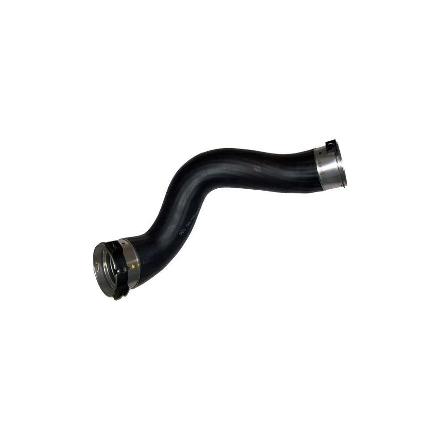 BUGIAD 81862 Charger Intake Hose Suitable for Mercedes-Benz E-Class Saloon (W212)