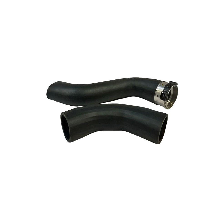 BUGIAD 81870 Charger Intake Hose Suitable for Mercedes-Benz Vito