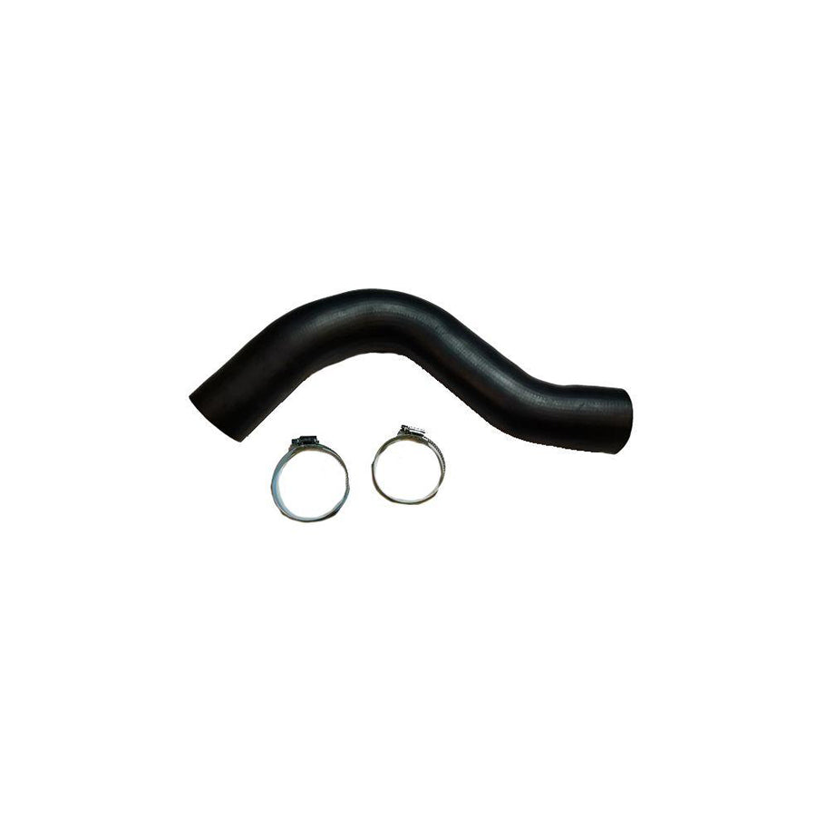 BUGIAD 81881 Charger Intake Hose