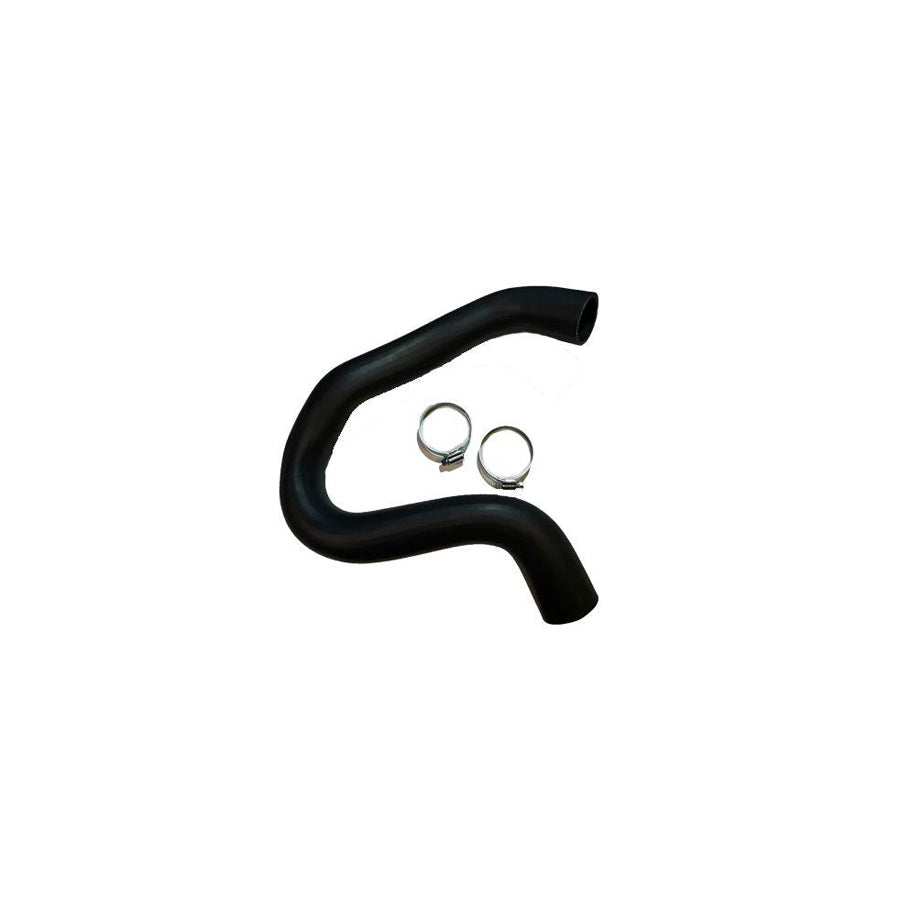 BUGIAD 81888 Charger Intake Hose