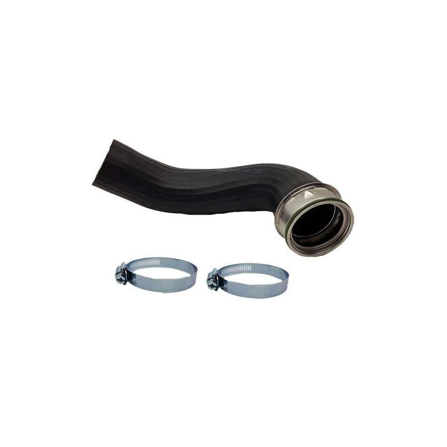 BUGIAD 81893 Charger Intake Hose for VW Tiguan I (5N)