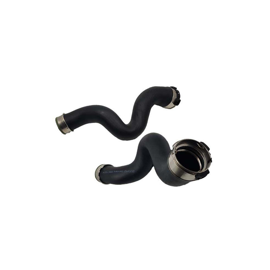 BUGIAD 81902 Charger Intake Hose for BMW 3 Saloon (E90)