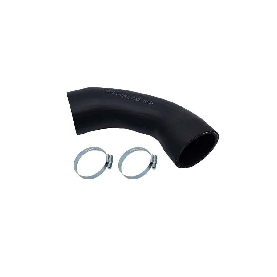 BUGIAD 81907 Charger Intake Hose for BMW 3 Series