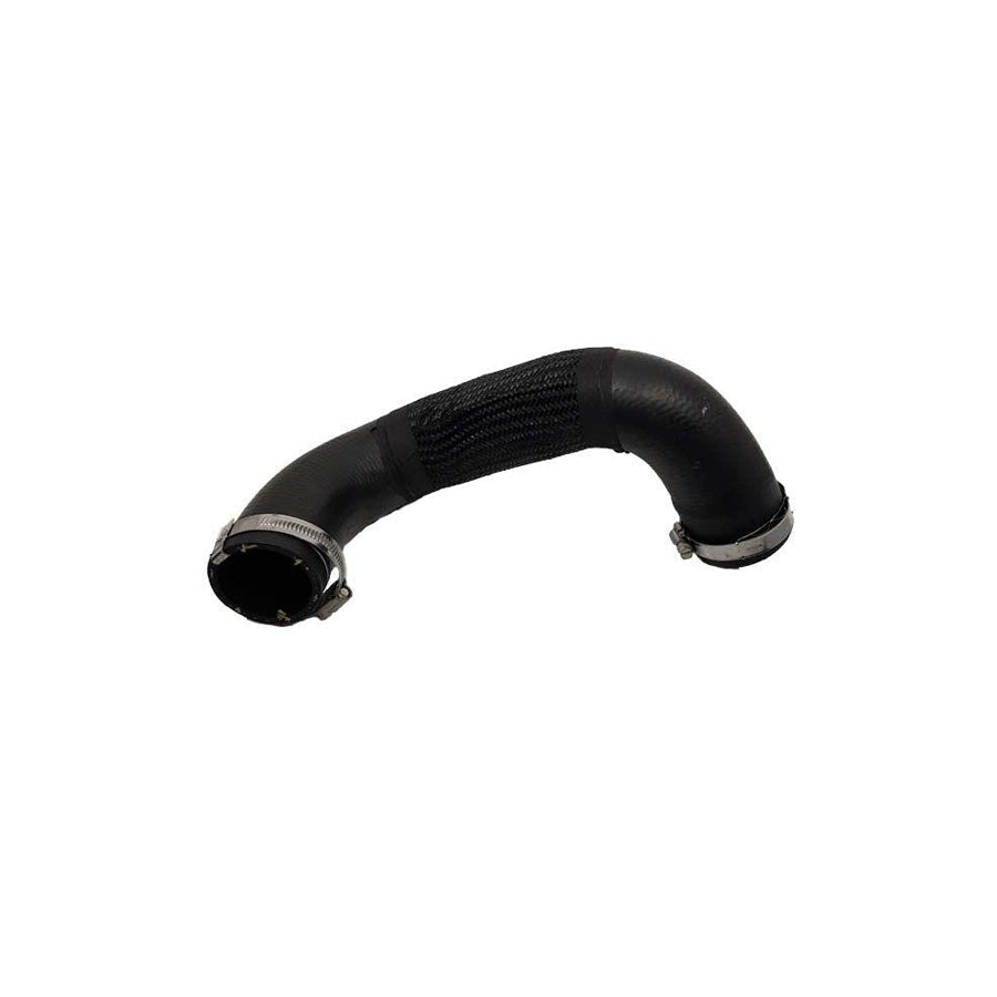 BUGIAD 81935 Charger Intake Hose