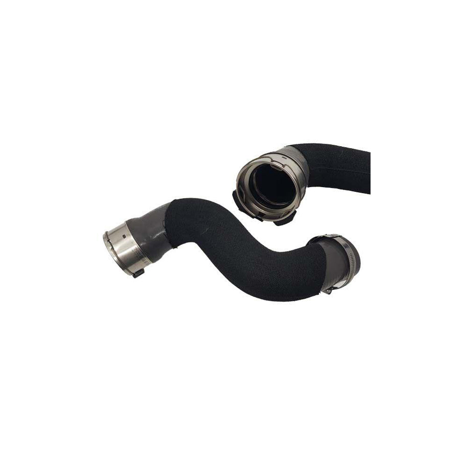 BUGIAD 81945 Charger Intake Hose for Renault Megane