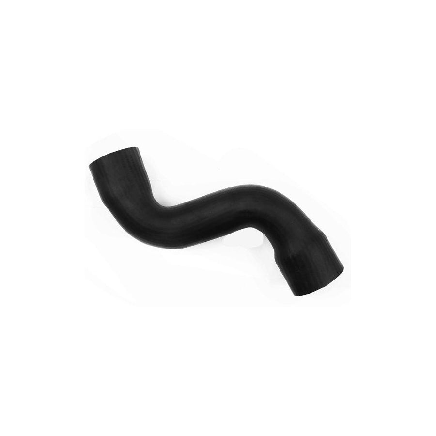 BUGIAD 81953 Charger Intake Hose