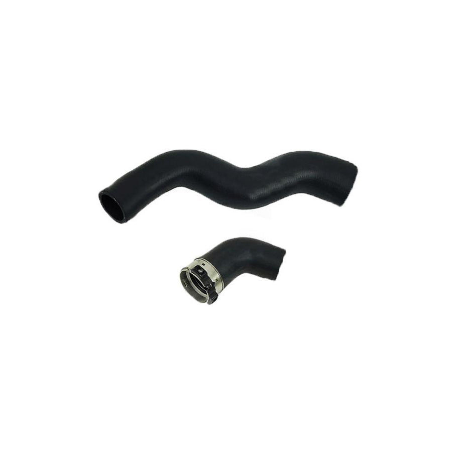 BUGIAD 81962 Charger Intake Hose