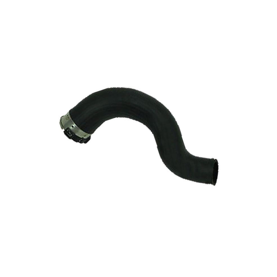 BUGIAD 81966 Charger Intake Hose