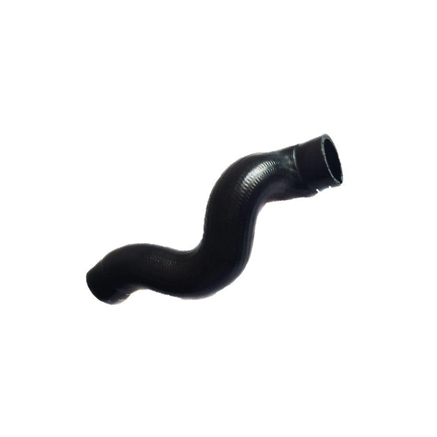 BUGIAD 81967 Charger Intake Hose