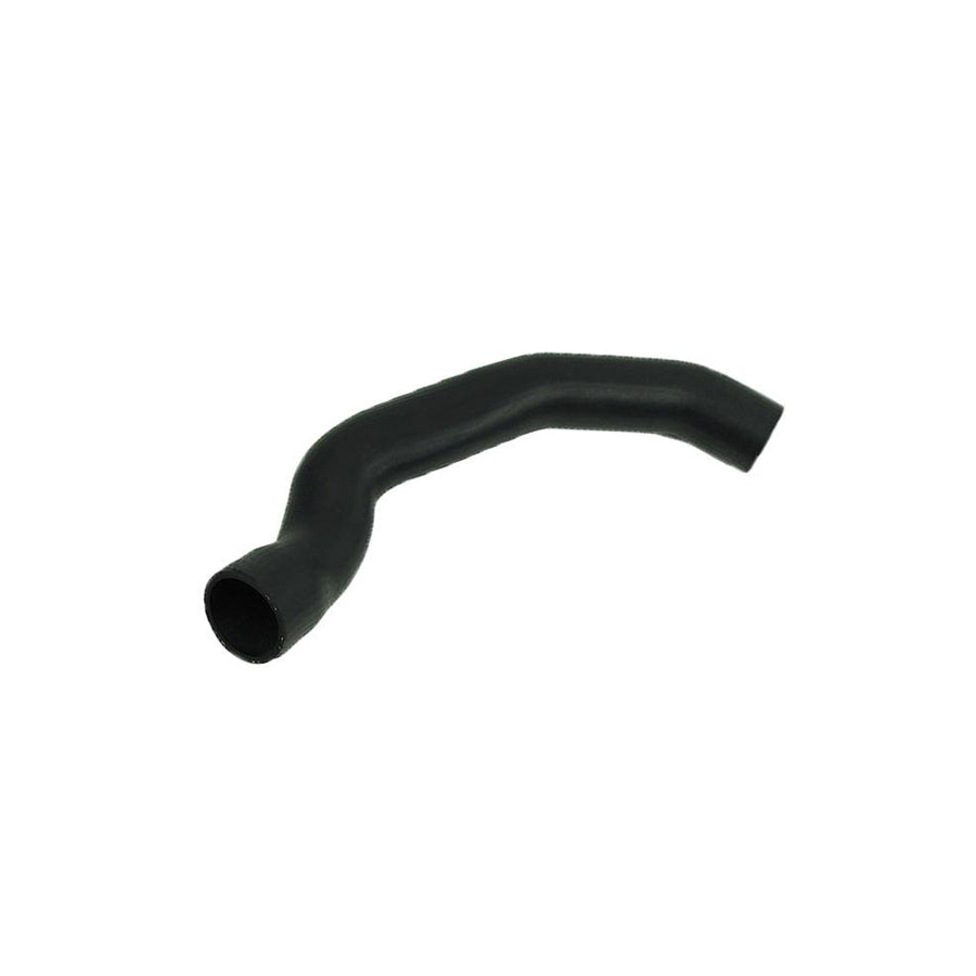 BUGIAD 81969 Charger Intake Hose