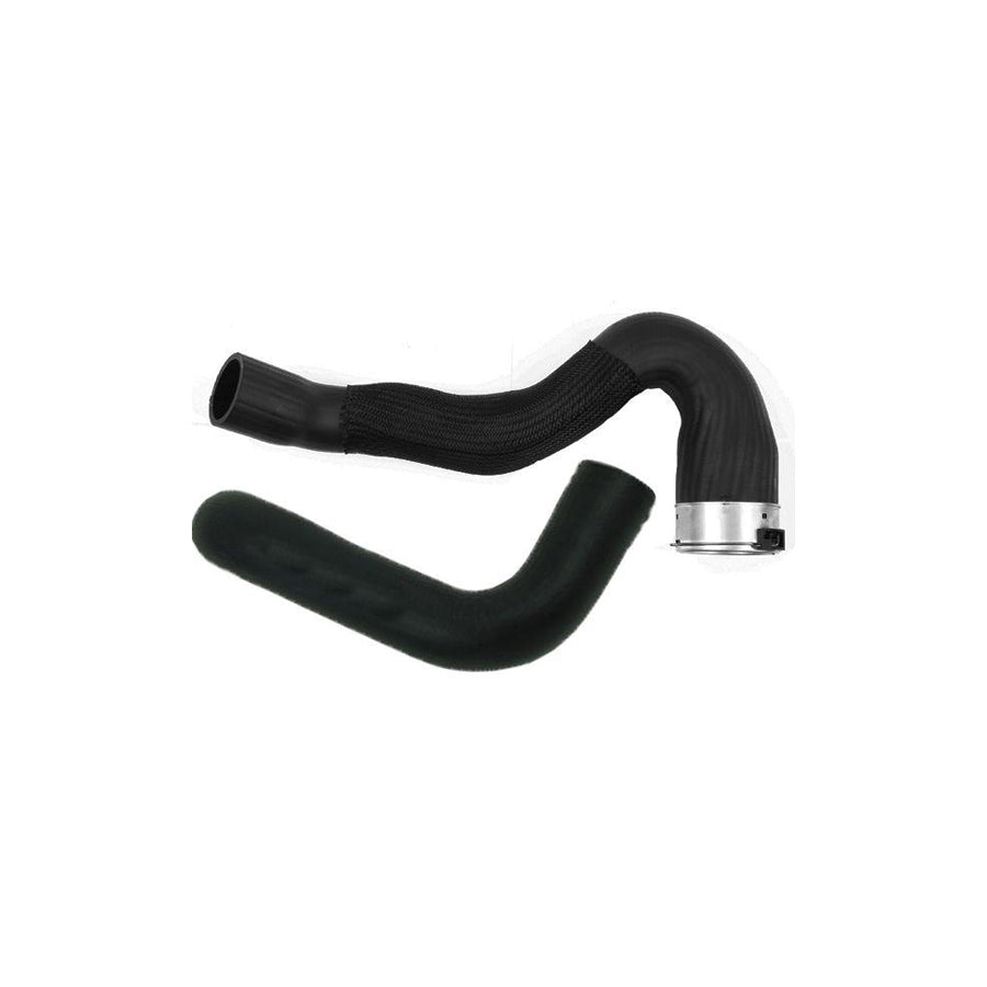 BUGIAD 81979 Charger Intake Hose