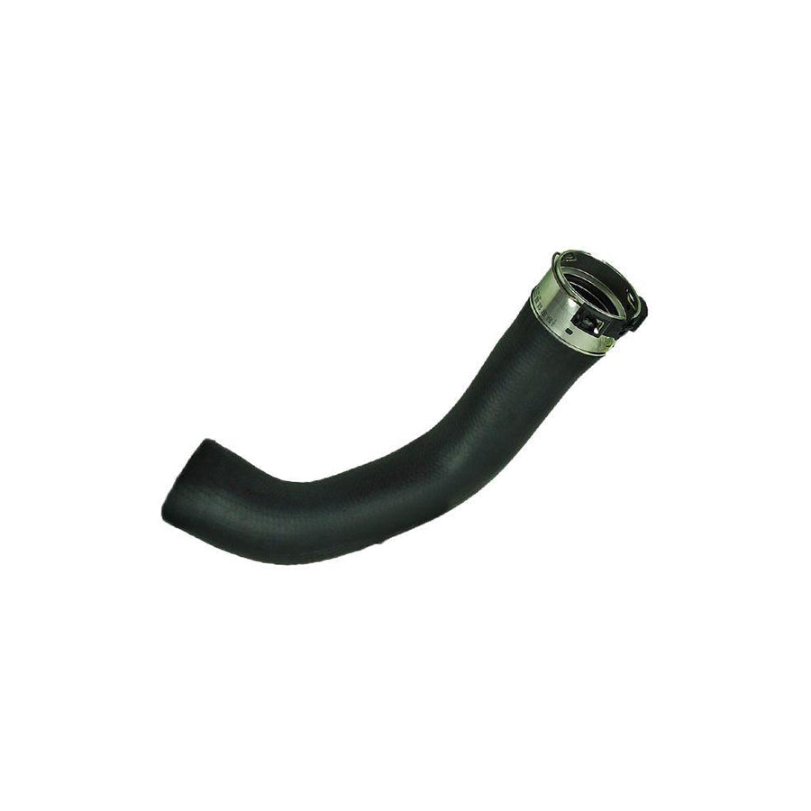 BUGIAD 81981 Charger Intake Hose for Nissan Qashqai II (J11)