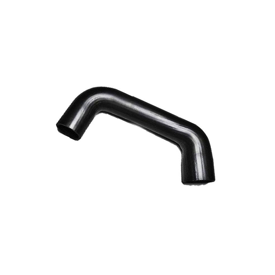 BUGIAD 81982 Charger Intake Hose for Iveco Daily
