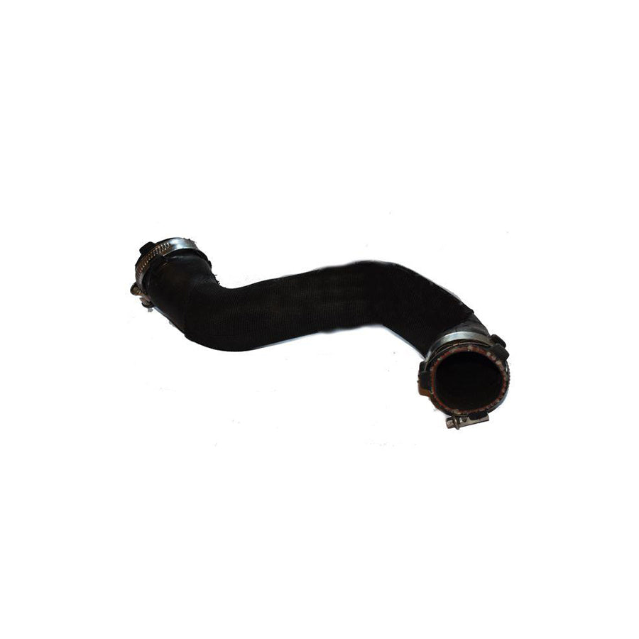 BUGIAD 81991 Charger Intake Hose for Audi A4