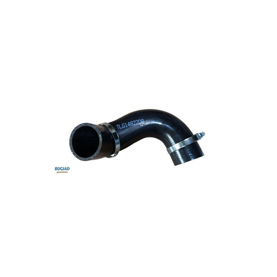 BUGIAD 82208 Charger Intake Hose for Ford Kuga Mk1 Off-Road