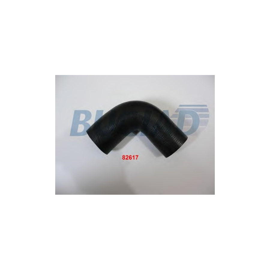 Bugiad 82617 Charger Intake Hose