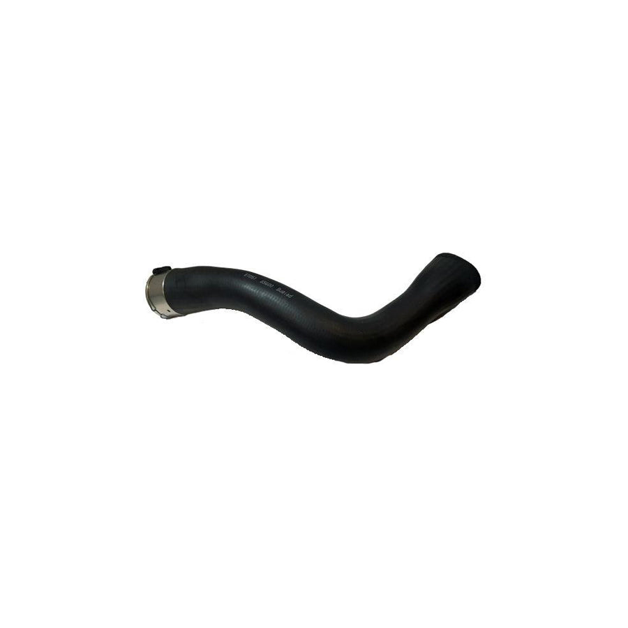 BUGIAD 85600 Charger Intake Hose for Opel Insignia A Hatchback (G09)