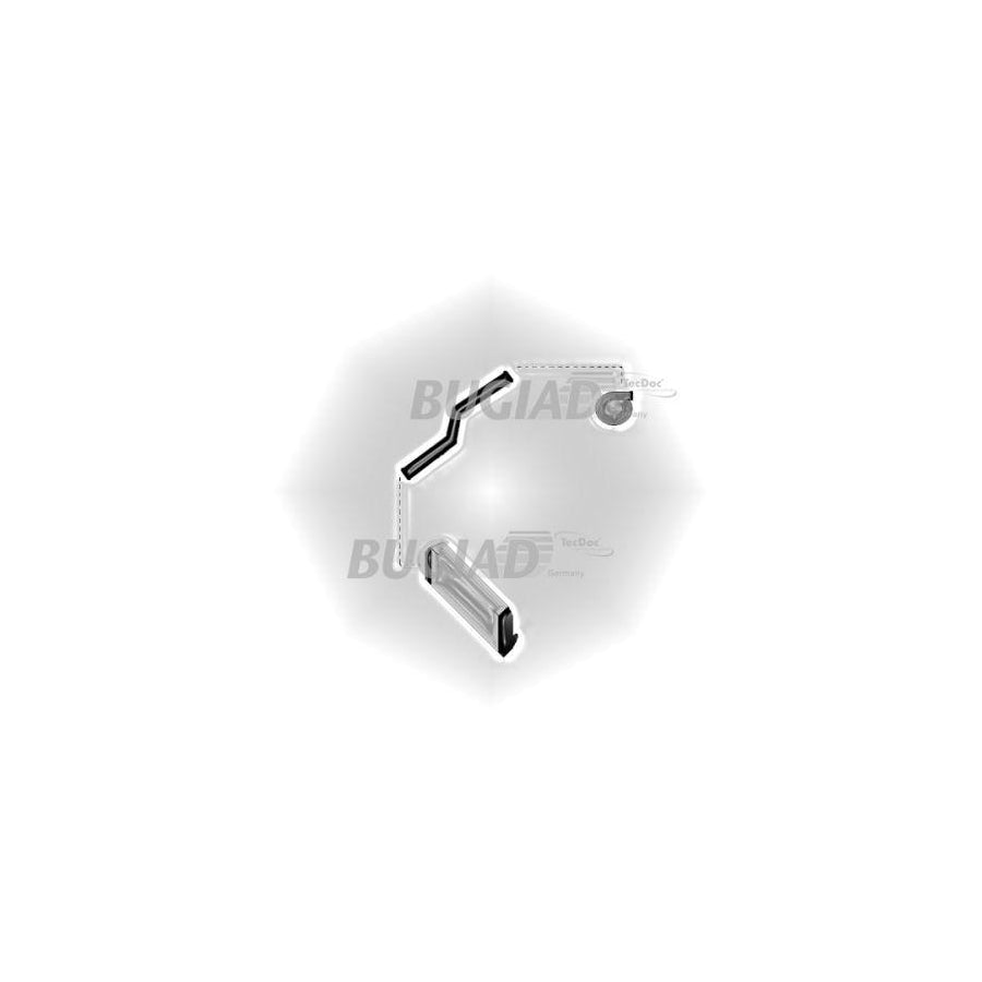 BUGIAD 85620 Charger Intake Hose for Opel Corsa D Hatchback (S07)