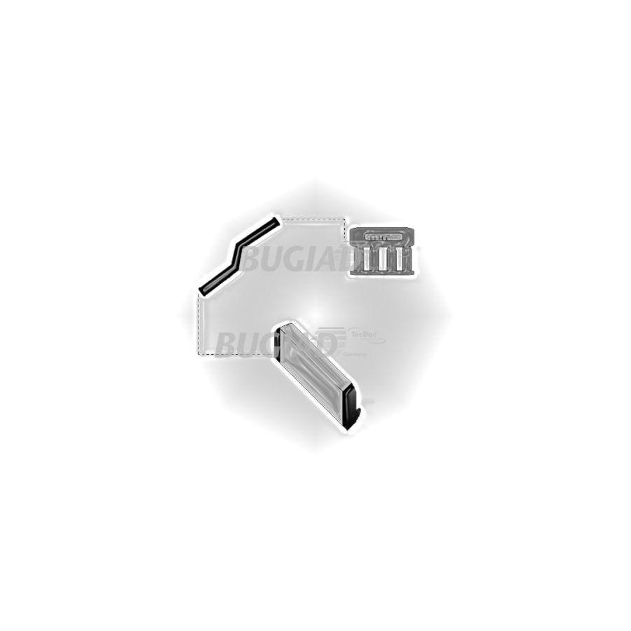 BUGIAD 86629 Charger Intake Hose