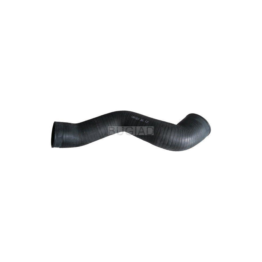 BUGIAD 86651 Charger Intake Hose