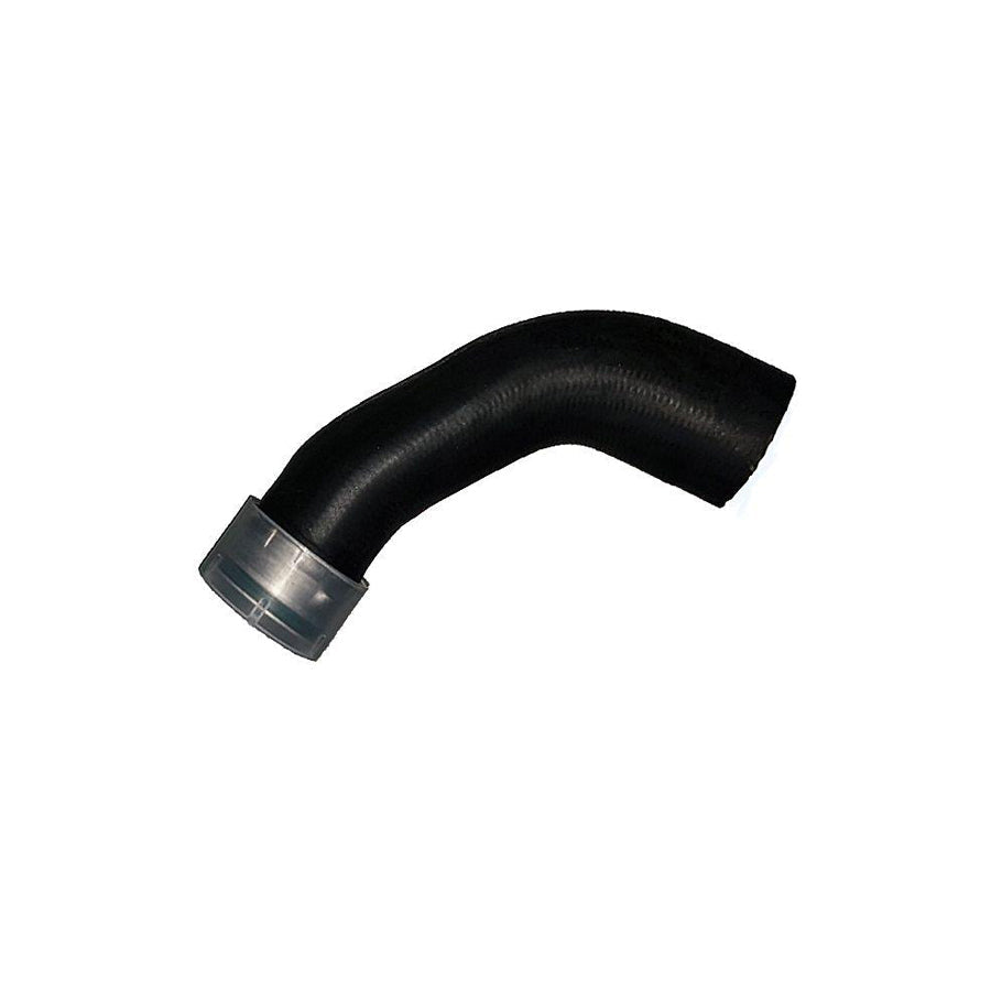 BUGIAD 87635 Charger Intake Hose