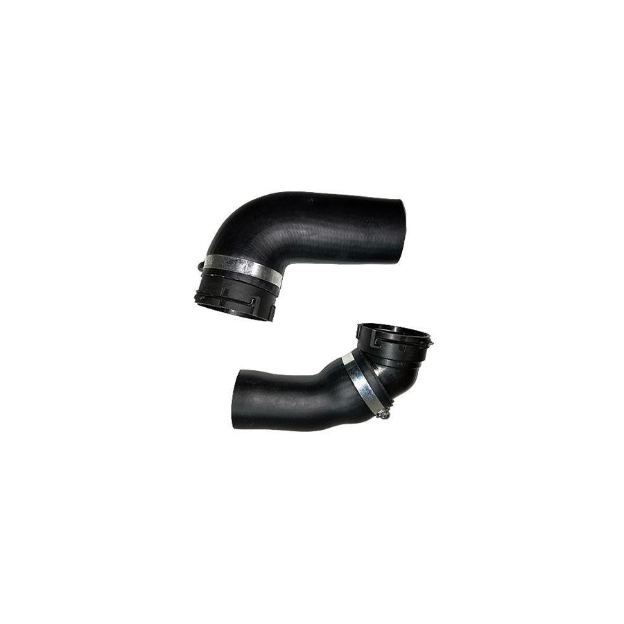 BUGIAD 88452 Charger Intake Hose