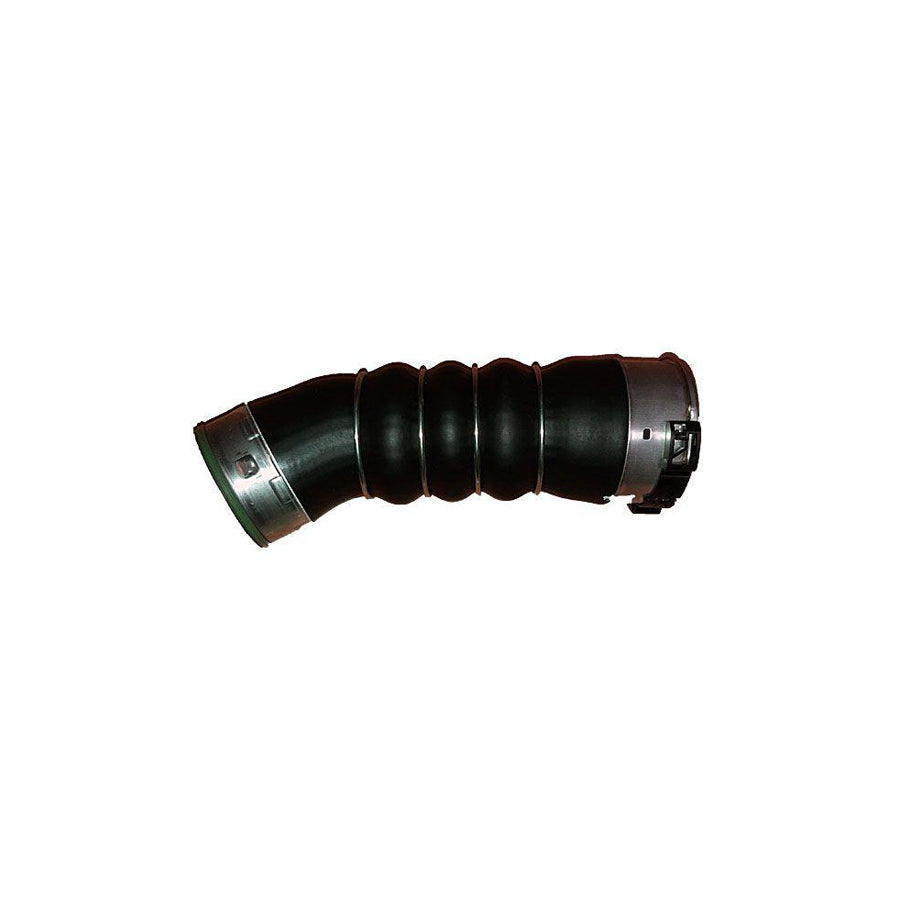 BUGIAD 88457 Charger Intake Hose for BMW 3 Series
