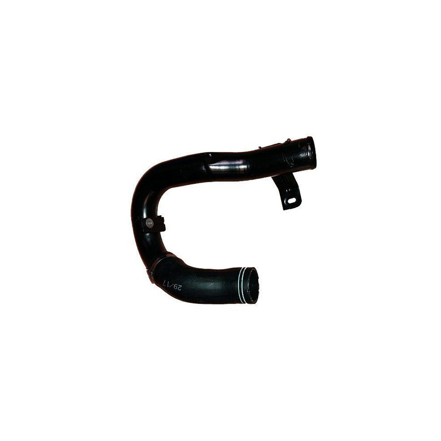 BUGIAD 88483 Charger Intake Hose for Fiat Doblo