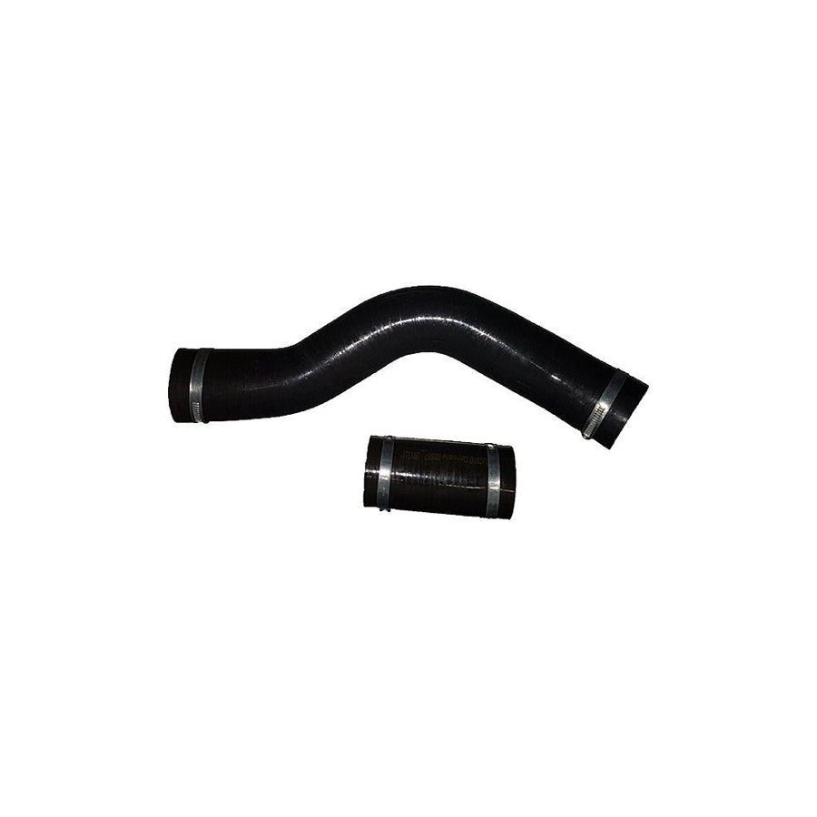 BUGIAD 88557 Charger Intake Hose