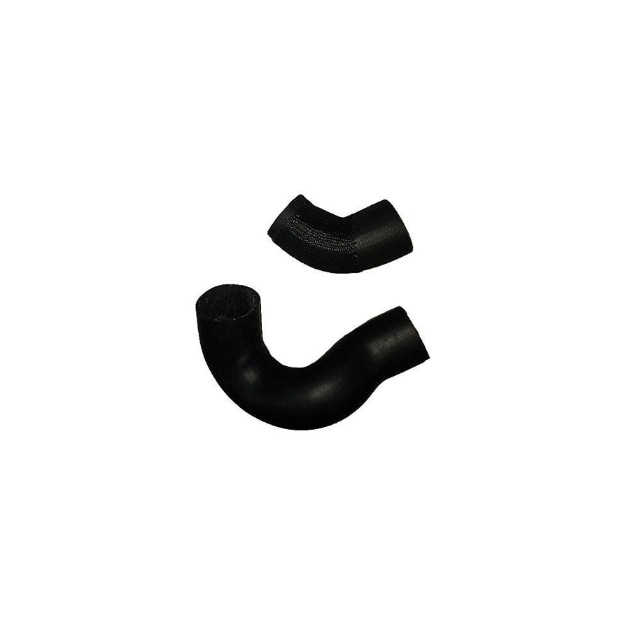 BUGIAD 88558 Charger Intake Hose