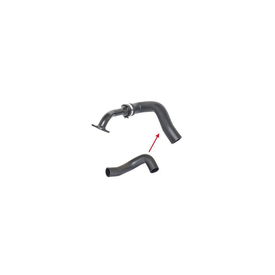 Bugiad 88567 Charger Intake Hose