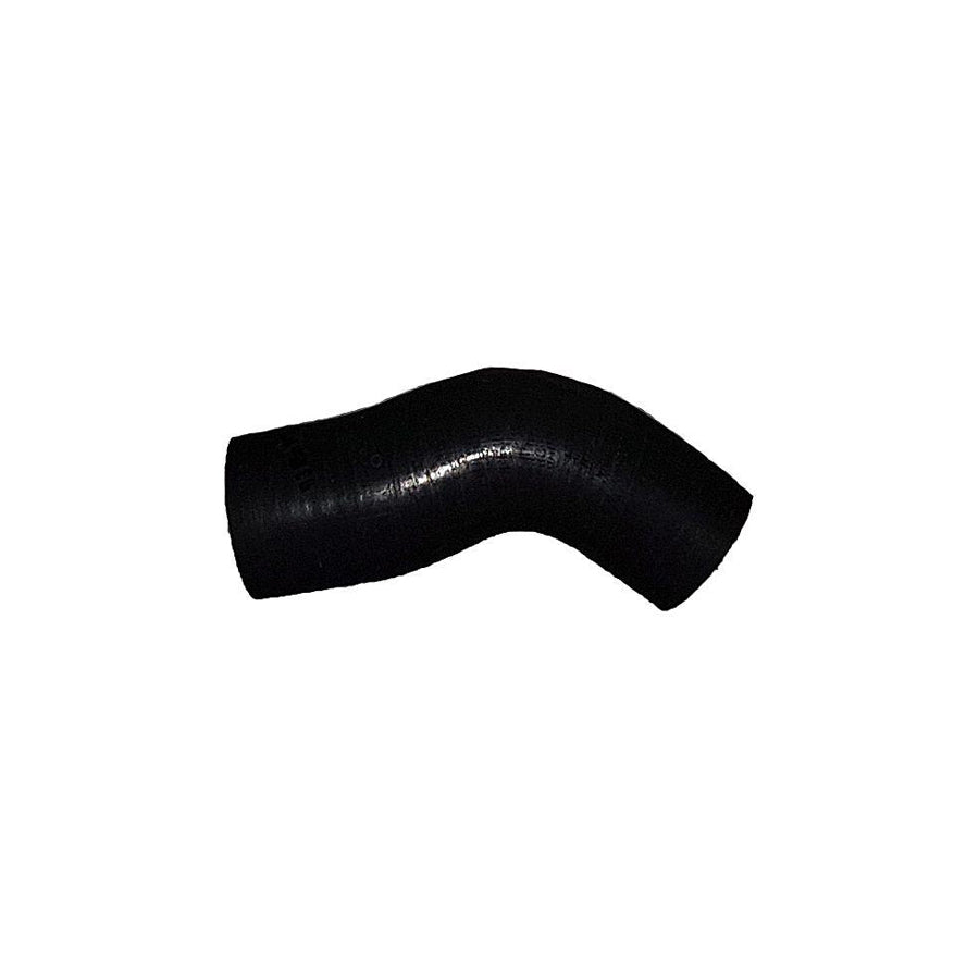 BUGIAD 88581 Charger Intake Hose for KIA Cerato