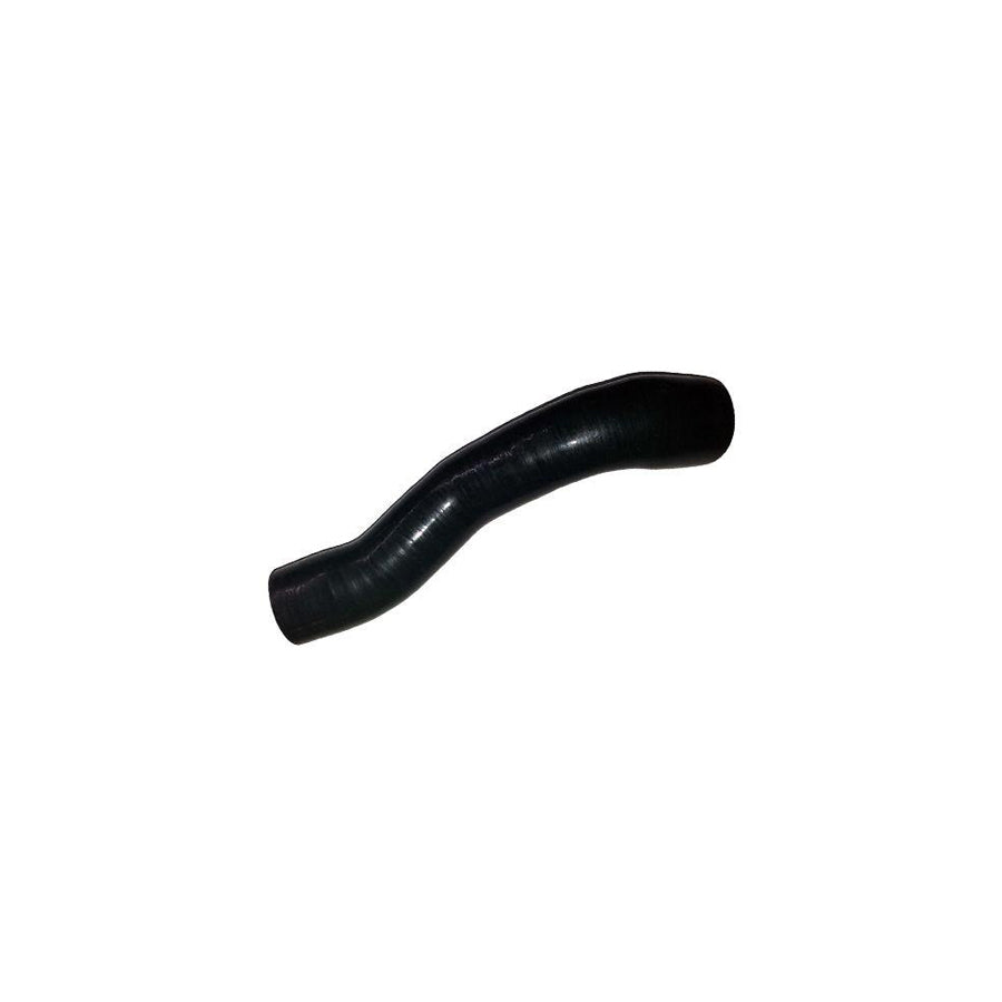 BUGIAD 88583 Charger Intake Hose for Nissan Juke (F15)